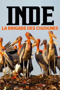 Inde, la brigade des cigognes (2022)