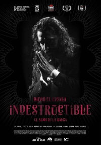 Indestructible: El alma de la salsa (2017)