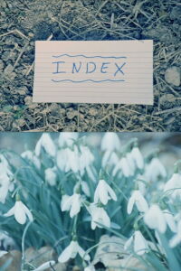 Index (2018)