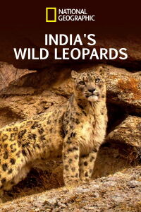 India's Wild Leopards (2020)
