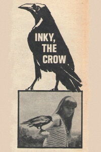 Inky, the Crow (1969)