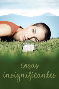 Insignificant Things (2008)