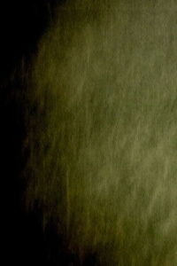 Into Daylight (2009)
