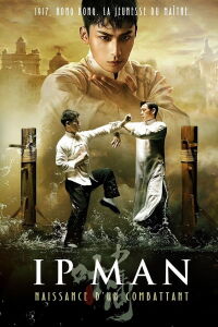 Ip Man : Naissance d'un combattant (2020)