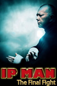 Ip Man: The Final Fight (2013)