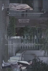 Irreversible (2016)