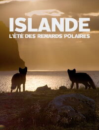 Islande, l’été Des Renards Polaires (2017)