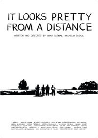 It Looks Pretty from a Distance (2012)