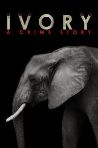 Ivory. A Crime Story (2016)