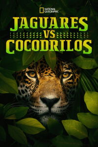 Jaguar vs. Croc (2017)
