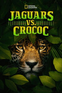 Jaguar vs. Croc (2017)