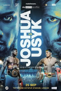 Joshua vs Usyk (2021)