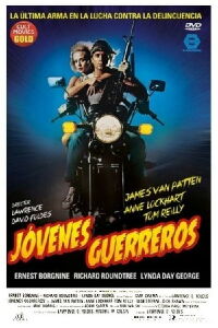 Jóvenes guerreros (1983)