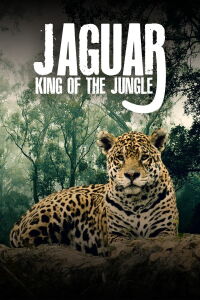Juguar: El rey de la jungla (2020)