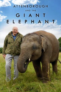 Jumbo. Una historia de película (2017)