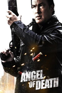 Justicia extrema: El ángel de la muerte (2013)