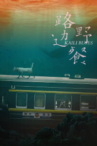 Kaili Blues (2016)