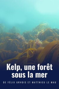 Kelp, une forêt sous la mer (2022)