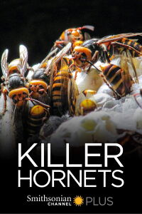 Killer Hornets (2016)