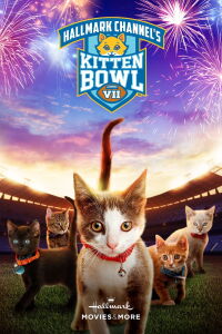 Kitten Bowl VII (2020)