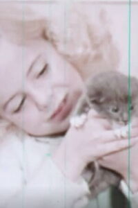 Kittens: Birth and Growth (1957)