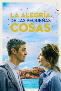 La alegría de las pequeñas cosas (2019)