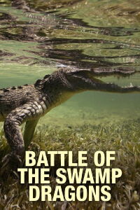 La batalla de los dragones del pantano (2017)