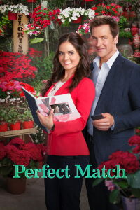 La boda perfecta (2015)