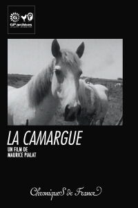 La Camargue (1966)