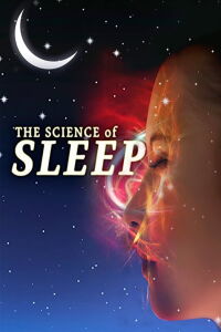 La ciencia del sueño (2016)