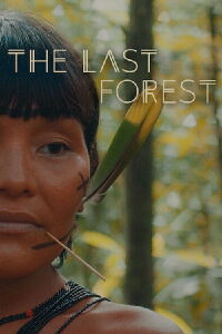 La dernière forêt (2021)