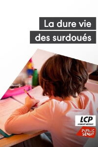 La dure vie des surdoués (2023)