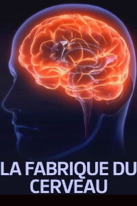 La fabrique du cerveau (2017)