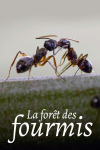 La Forêt des fourmis (2023)