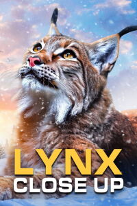 La forêt des lynx (2019)