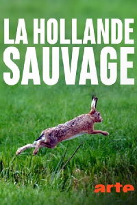 La Hollande sauvage - Dans l'oeil du delta (2017)