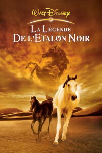 La légende de l'étalon noir (2003)