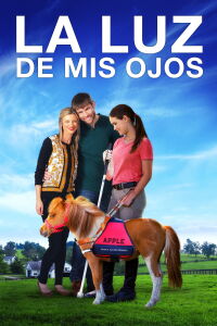 La luz de mis ojos (2017)