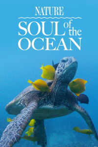 La magia de los océanos (2023)