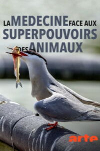 La médecine face aux superpouvoirs des animaux (2018)