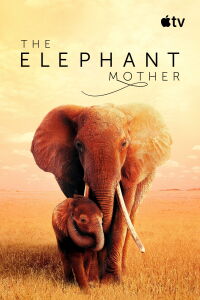 La mère éléphant (2019)