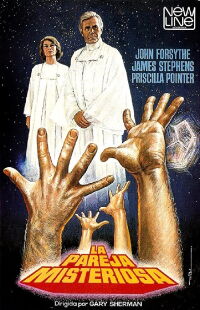 La pareja misteriosa (1982)