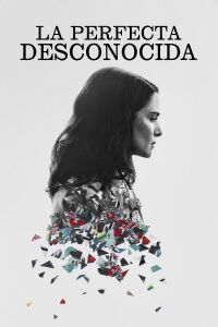 La perfecta desconocida (2016)