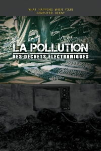 La Pollution des déchets électroniques (2017)
