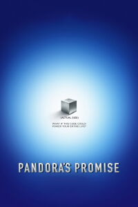La promesa de pandora (2013)