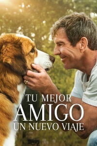 La Razón De Estar Contigo 2: Un Nuevo Viaje (2019)