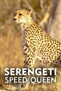 La reina de la velocidad del Serengeti (2020)