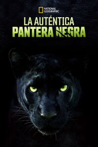 La Verdadera Pantera Negra (2020)