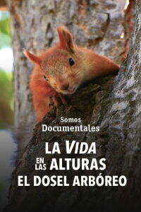 La vida en las alturas. El dosel arbóreo (2021)