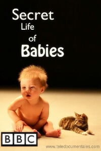 La vida secreta de los bebés (2014)